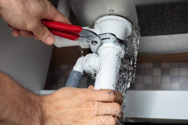 Best Water damage restoration mold remediation  in Butler, NJ