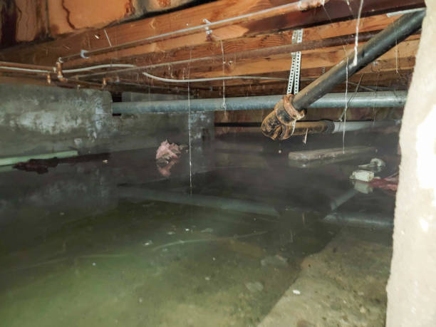 Best Fire Damage Restoration  in Butler, NJ