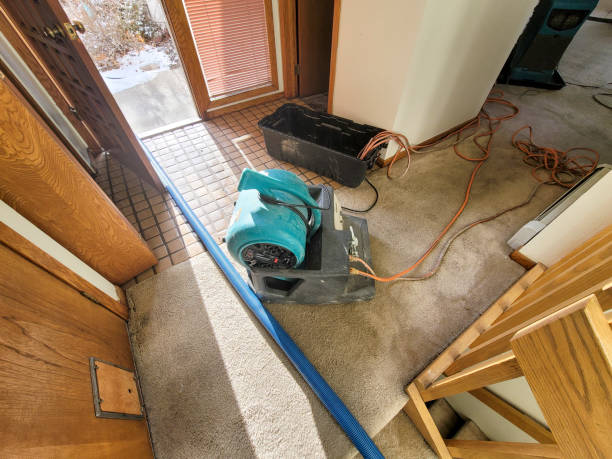 Best Commercial water damage restoration  in Butler, NJ