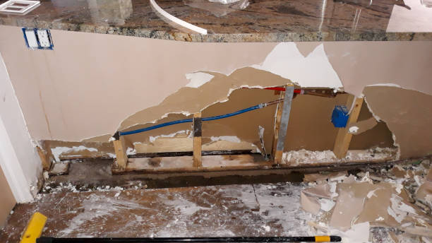 Best Flood damage cleanup  in Butler, NJ