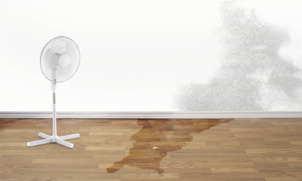 Best Professional water damage repair  in Butler, NJ