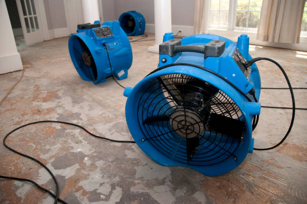 Best Water damage contractors near me  in Butler, NJ