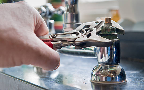 Best Water damage cleanup near me  in Butler, NJ
