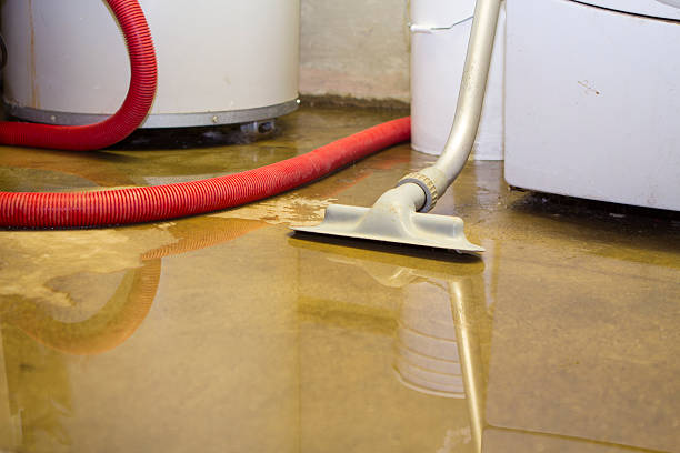 Best 24-hour water damage restoration  in Butler, NJ