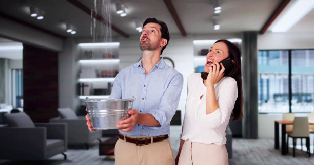 Best Water damage restoration services  in Butler, NJ